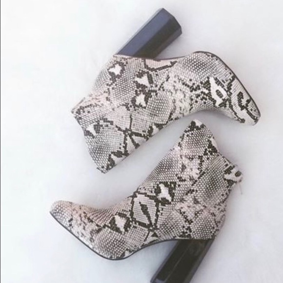 Steve Madden Shoes - Snakeskin Booties